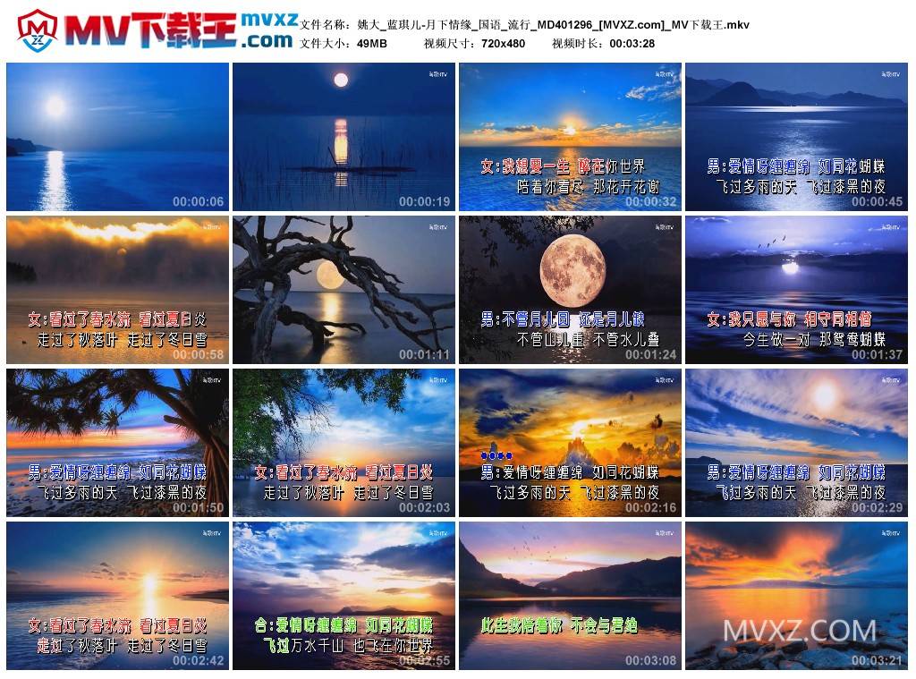 姚大_蓝琪儿-月下情缘_国语_流行_MD401296
